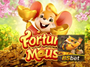 BSBET login — configurações de segurança e proteção de conta